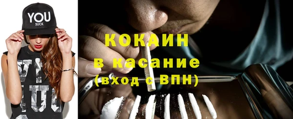 шишки Богородск