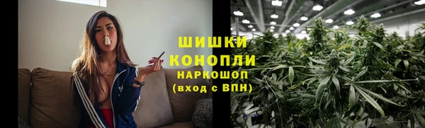 дмт Богородицк