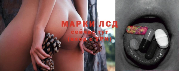 шишки Богородск