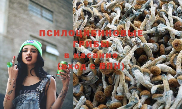 альфа пвп VHQ Богданович
