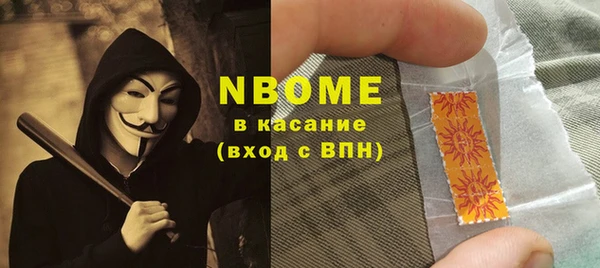 шишки Богородск