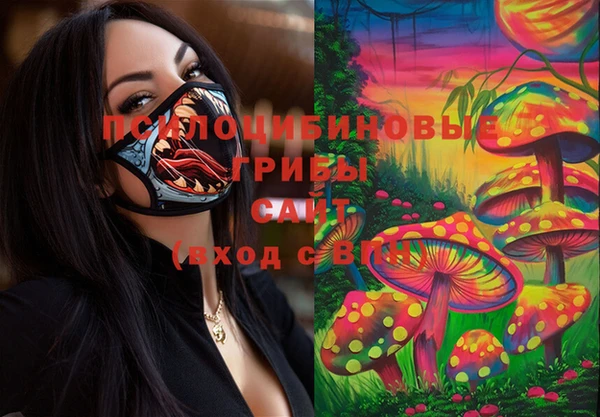 шишки Богородск