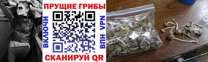 Галлюциногенные грибы GOLDEN TEACHER  Купить закладки  Собинка 